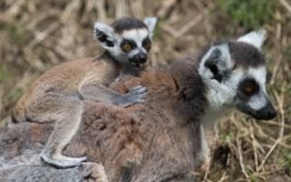 Gallery: Pictures of the day: 16 May, 2016
