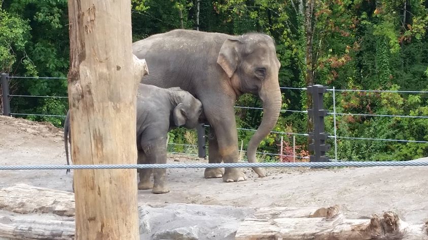 התמונה של Amy Lynn McCartney.