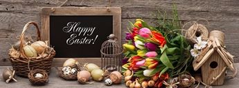 התמונה של Rina Kleinhans.