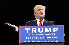 Trump Hopes for Boost From Sanders Supporters