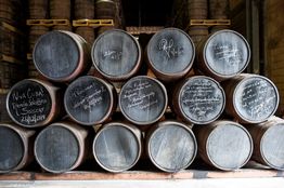 Rum Makers in Spirited Battle