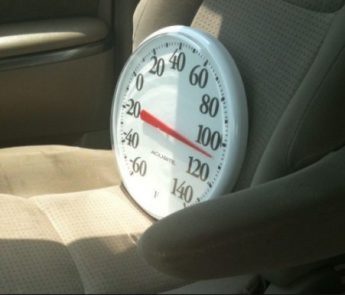 Police: Don't Let Hot Cars Become Death Traps