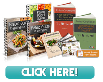 Paleo Cookbook by Nikki Young