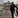 Sayros: 2h ago, 1561 posts (0%)