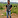 Amarbir Singh: 3h ago, 2966 posts (0%)