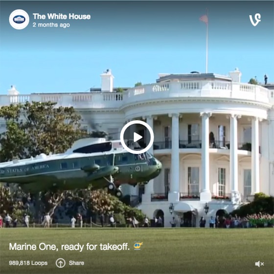 Vine simple embed hover