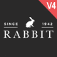 Rabbit - Responsive Coming Soon - ThemeForest Item for Sale