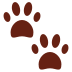 Paw prints 🐾
