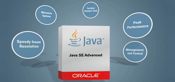 Java SE Video