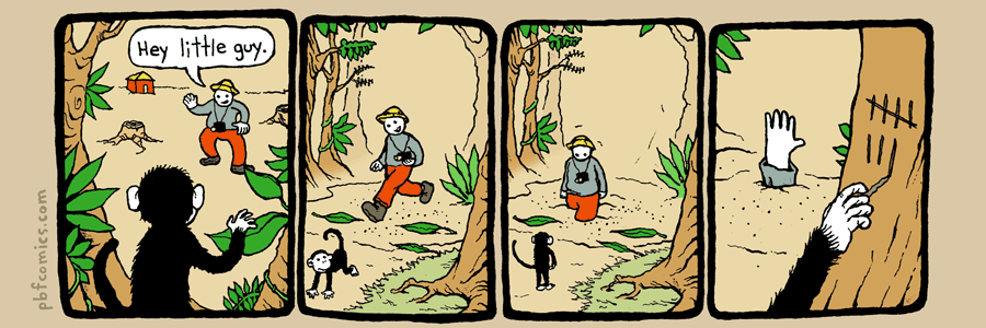 Monkey Photographer