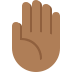 ✋🏾