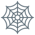 ಜೇಡರ ಬಲೆ 🕸