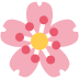 Cherry blossom 🌸