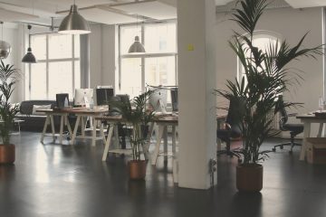 Empty office with plants