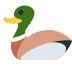 Duck 🦆