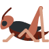Cricket 🦗