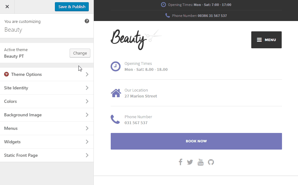 WP Customizer