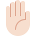 Raised hand (ತಿಳಿಯಾದ ತ್ವಚೆಯ ಬಣ್ಣ) ✋🏻