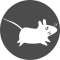 Xfce