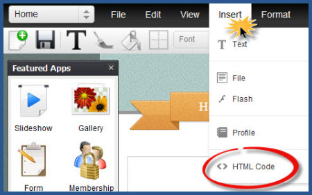 WebStarts - Insert HTML Code