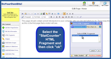 doyourownsite.co.uk - Select the StatCounter Fragment