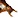 Squirrelkiller