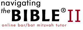 NTB logo