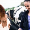 Back to the Land: Urban Turks Tackle Rural Life