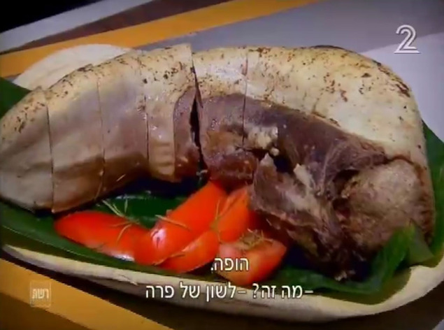 הישרדות הונדורס פרק 23 (צילום מסך)