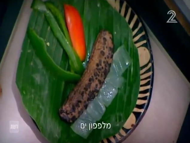 הישרדות הונדורס פרק 23 (צילום מסך)