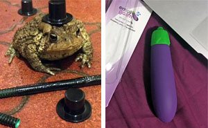 10+ Times People Shopped Online While Drunk And Regretted It Deeply