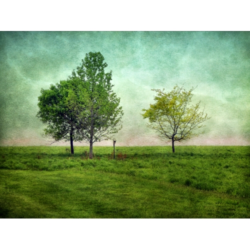 Arbor Day 2011