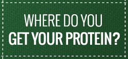 protein