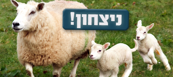 הממשלה הצביעה בעד הפסקת המשלוחים החיים!