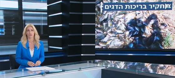 תחקיר חדש של אנונימוס נחשף בחדשות "כאן"