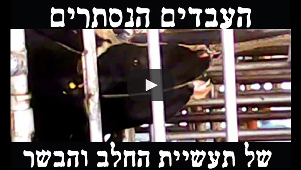 העבדים הנסתרים