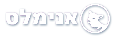 אנונימוס לזכויות בעלי חיים