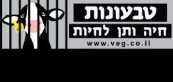 גלריית התמונות