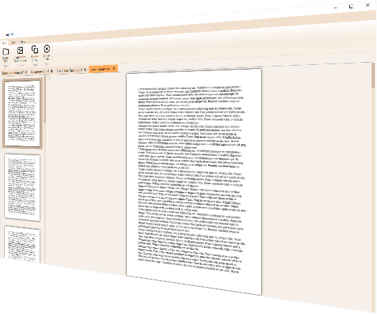 Screenshot of the anyPDF-program