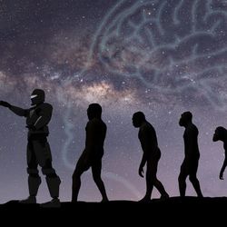 Human evolution