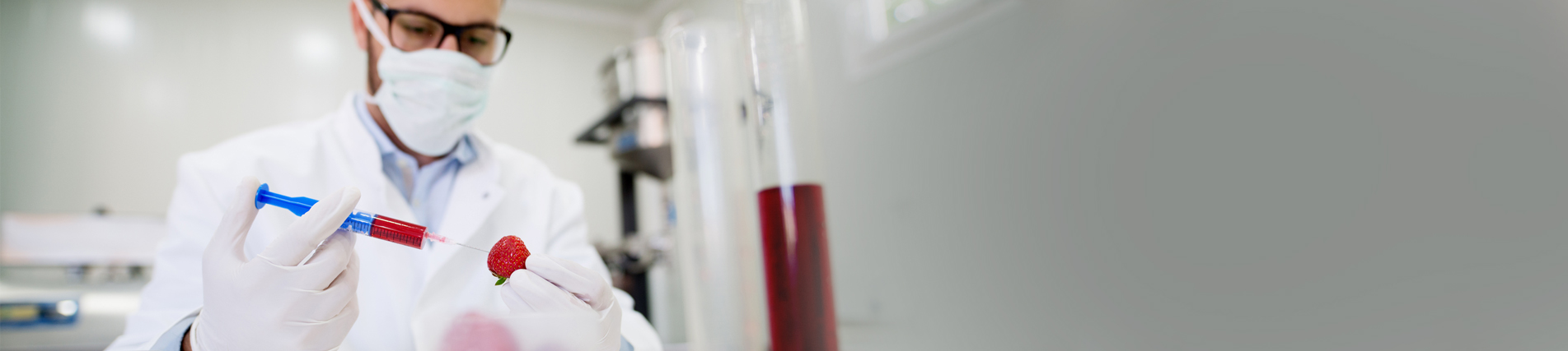 Undergraduate Studies