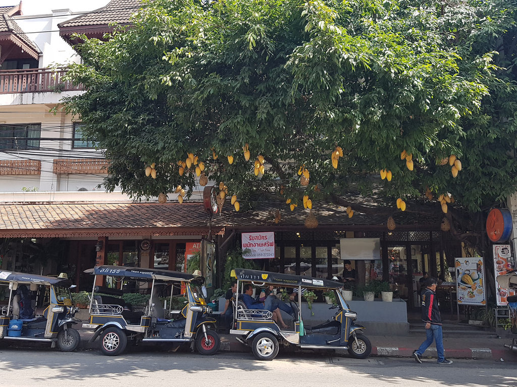 Day 16 Chiang Mai