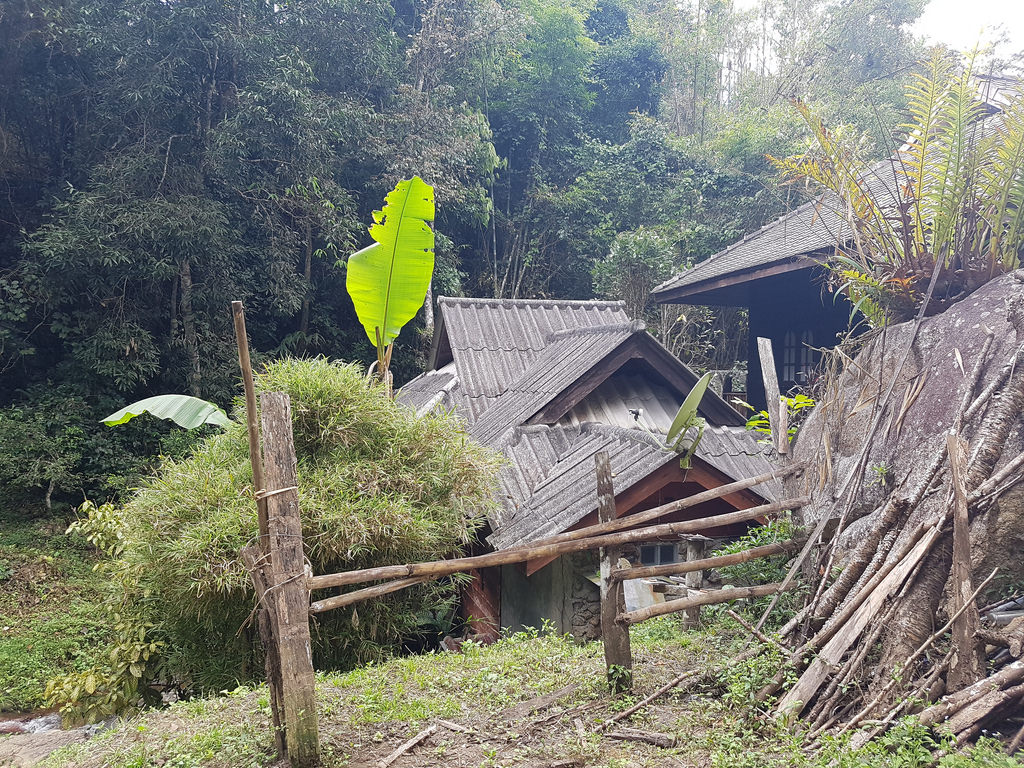 Day 15 Chiang Mai Saturday