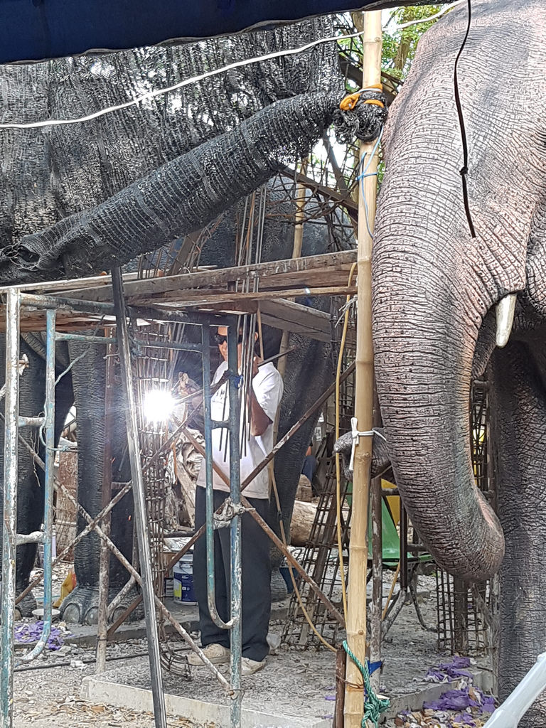 Day 19 Chiang Mai Monday
