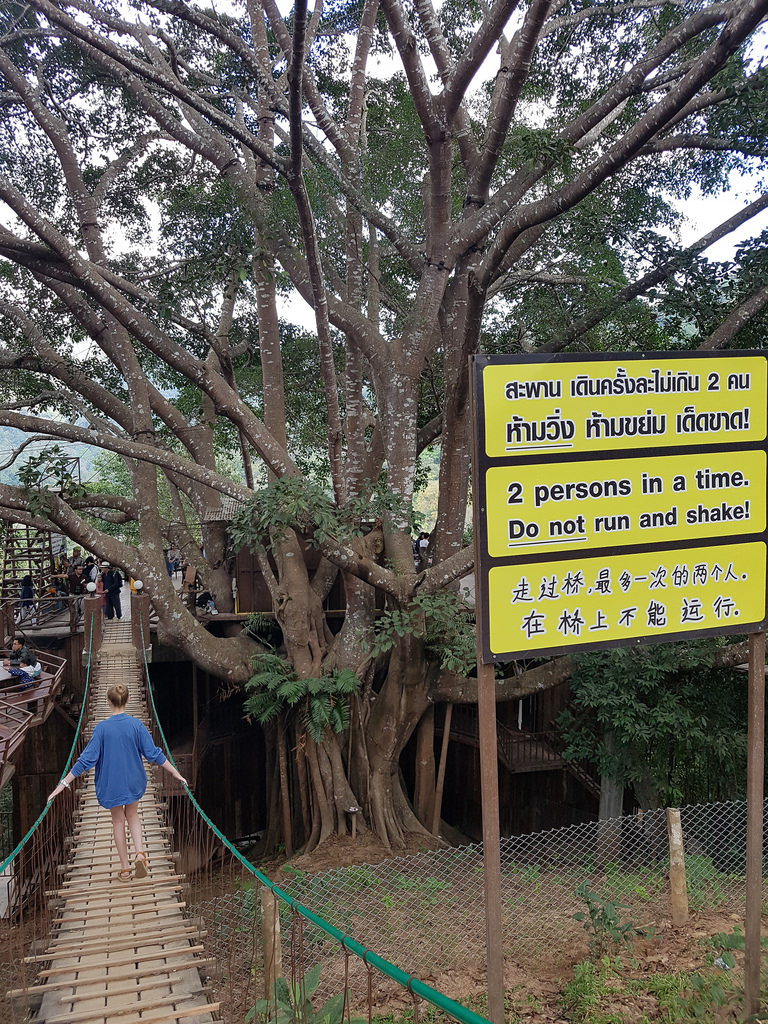 Day 15 Chiang Mai Saturday