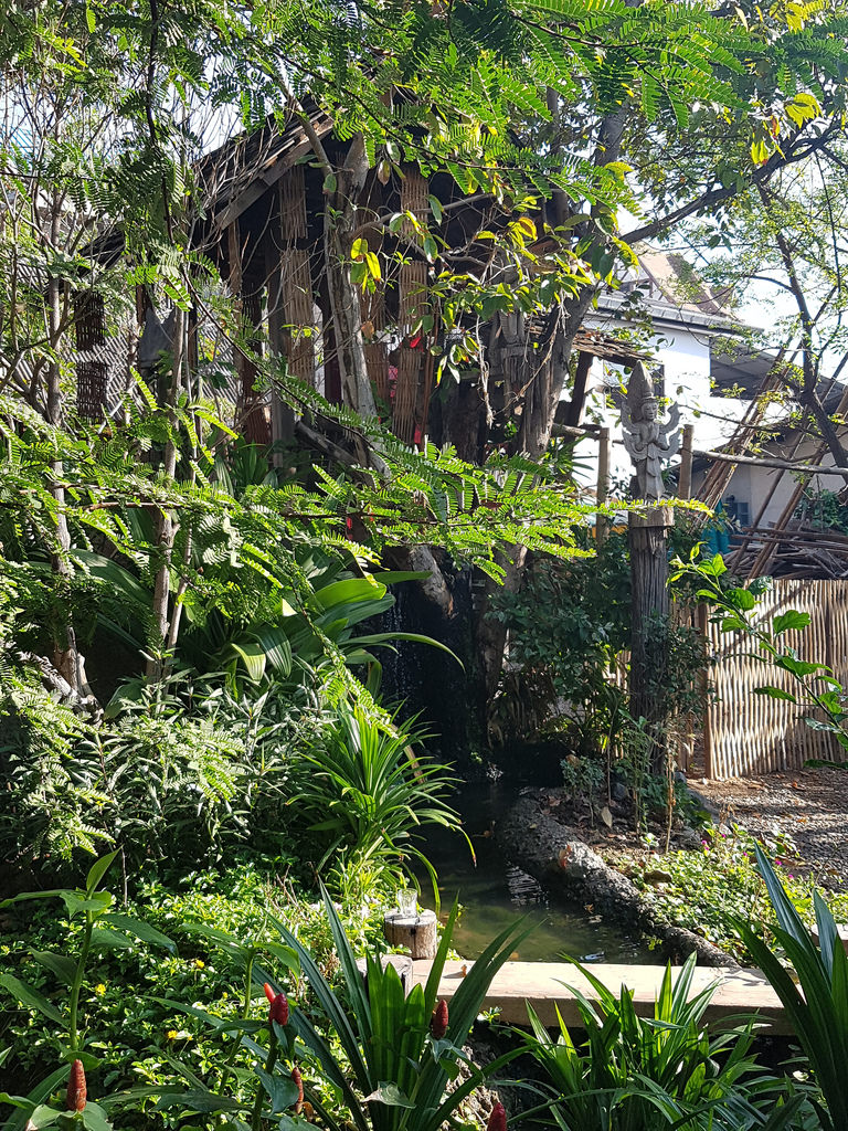 Thailand and Laos Day 18 Chiang Mai Sunday