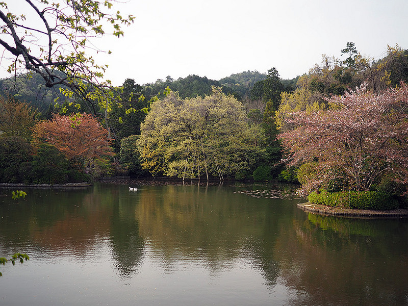 Kyoto