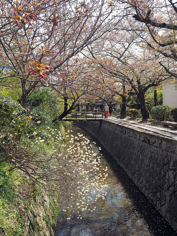Kyoto