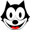 felix salmon