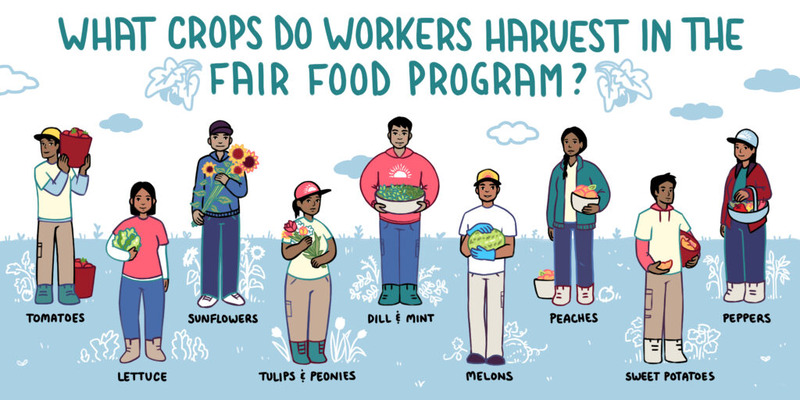 CIW_december-fundraiser-2022_Crops-under-FFP_FULL-SPREAD-1024x512-2